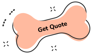 https://chicawoof.com/wp-content/uploads/2019/08/text_06.png