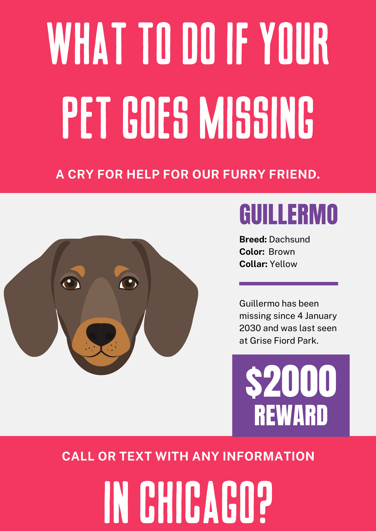 What to do if your pet goes missing in Chicago? Chicawoof