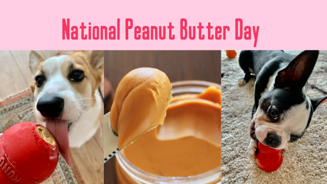 Happy National Peanut Butter Day!