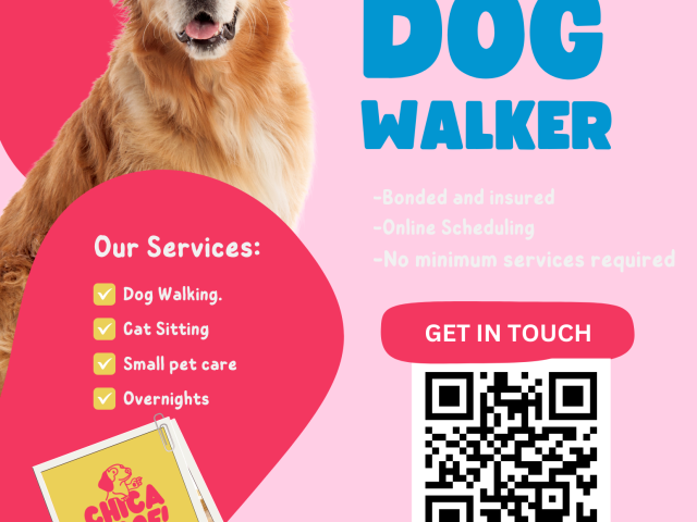 https://chicawoof.com/wp-content/uploads/2024/01/Beige-and-Brown-Modern-Dog-Walker-Flyer-640x480.png