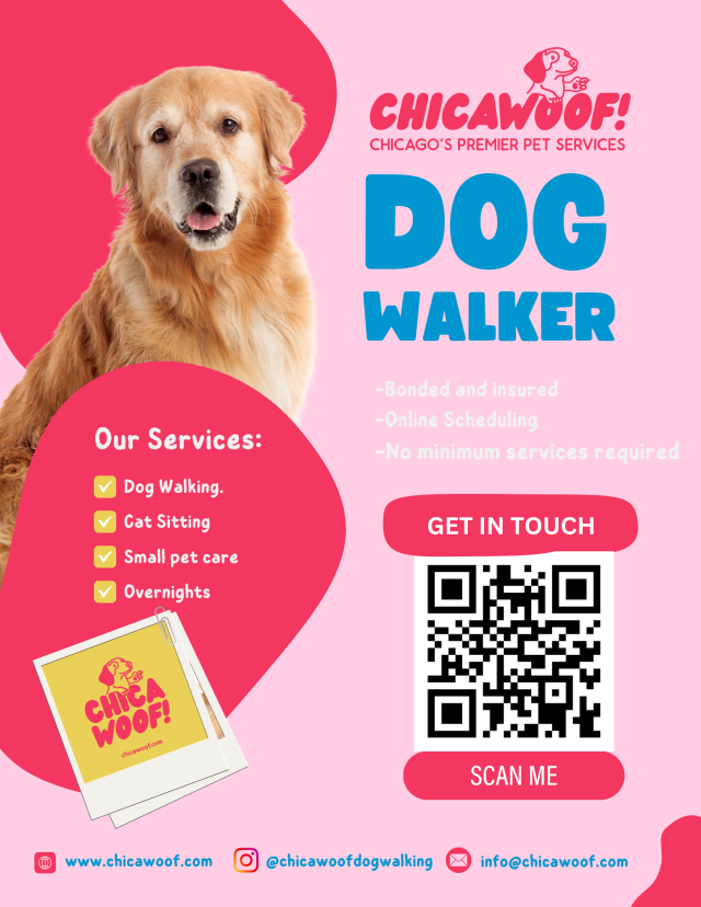 Exciting News: Introducing Our New Dog Walking Route!